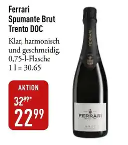 Galeria Markthalle Ferrari Spumante Brut Trento DOC Angebot