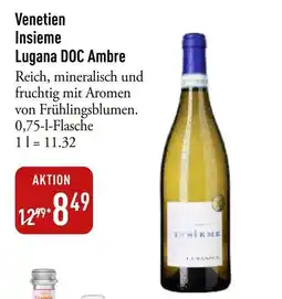 Galeria Markthalle Venetien Insieme Lugana DOC Ambre Angebot