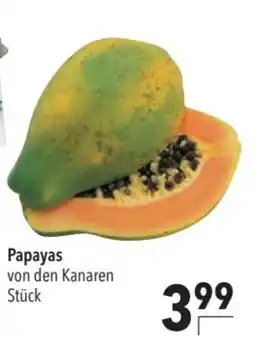 CITTI Markt Papayas von den Kanaren Angebot