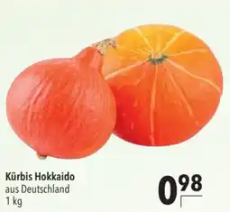 CITTI Markt Kürbis Hokkaido Angebot