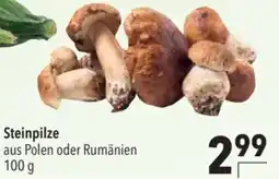 CITTI Markt Steinpilze Angebot