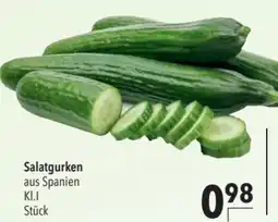 CITTI Markt Salatgurken Angebot