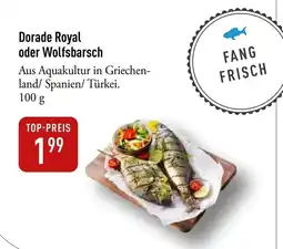 Galeria Markthalle Dorade Royal oder Wolfsbarsch Angebot