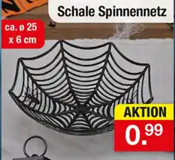 Zimmermann Schale Spinnennetz Angebot