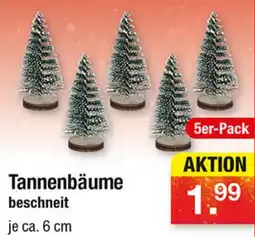 Zimmermann Tannenbäume beschneit Angebot