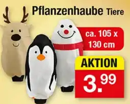 Zimmermann Pflanzenhaube Tiere Angebot