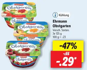 Lidl Ehrmann Obstgarten 125g Angebot