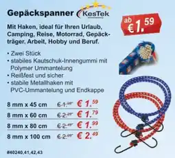 Stabilo Fachmarkt Gepäckspanner KesTek Angebot
