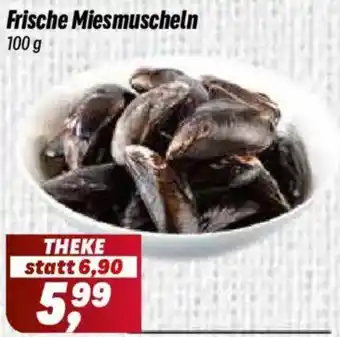 Frische Miesmuscheln