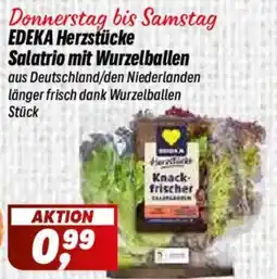 Simmel EDEKA Herzstücke Salatrio mit Wurzelballen Angebot