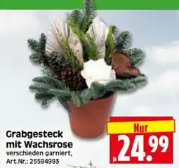 Herkules Baumarkt Grabgesteck mit Wachsrose Angebot