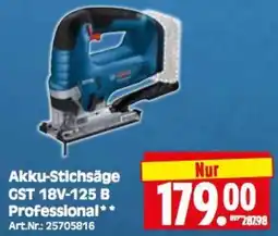 Herkules Baumarkt Akku-Stichsäge GST 18V-125 B Professional Angebot