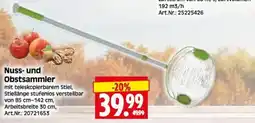 Herkules Baumarkt Nuss- und Obstsammler Angebot