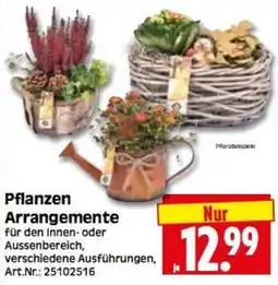 Herkules Baumarkt Pflanzen Arrangements Angebot