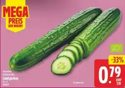 Elli Markt EDEKA Bio Salatgurken Angebot