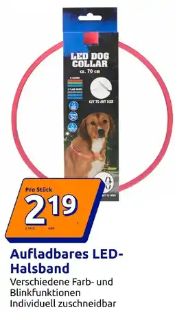 Action Aufladbares LED Halsband Angebot