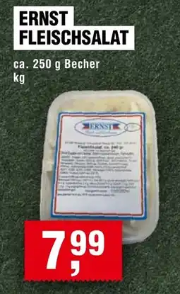 Handelshof ERNST FLEISCHSALAT Angebot