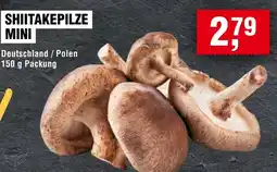 Handelshof SHIITAKEPILZE MINI Angebot