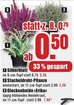 B1 Discount Baumarkt Silberblatt Angebot
