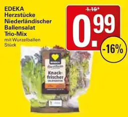 WEZ EDEKA Herzstücke Niederländischer Ballensalat Trio-Mix mit Wurzelballen Angebot