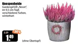 V Baumarkt Knospenheide Gardengirls® „Nexxt“ Angebot