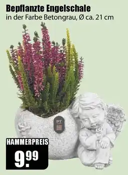 V Baumarkt Bepflanzte Engelschale Angebot