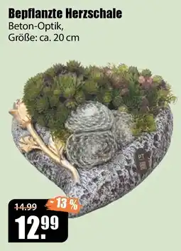 V Baumarkt Bepflanzte Herzschale Angebot