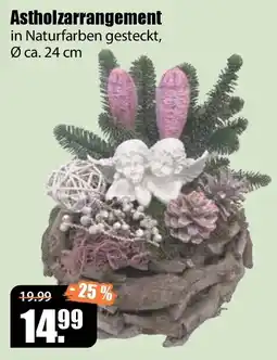 V Baumarkt Astholzarrangement Angebot