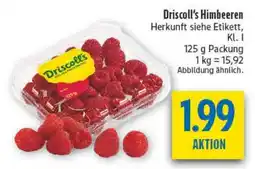 diska Driscoll's Himbeeren Angebot