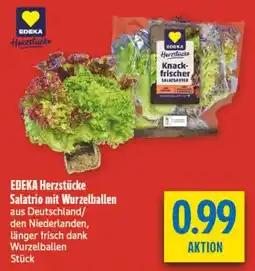 diska EDEKA Herzstücke Salatario mit Wurzelballen Angebot