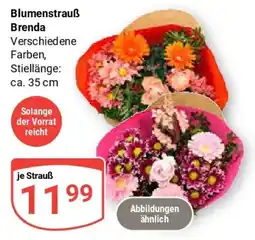 Globus Blumenstrauß Brenda Angebot