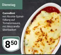 Globus Cannelloni Angebot