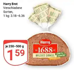 Globus Harry Brot Angebot