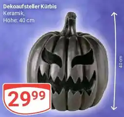 Globus Dekoaufsteller Kürbis Angebot