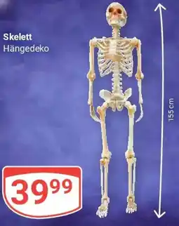 Globus Skelett Hängedeko Angebot
