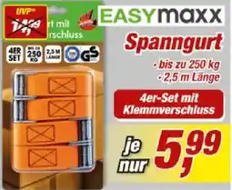 Posten Börse EASYmaxx Spanngurt Angebot