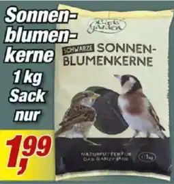 Posten Börse Schwarze Sonnenblumenkerne Angebot