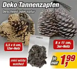 Posten Börse Deko Tannenzapfen Angebot