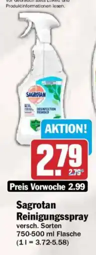AEZ Sagrotan Reinigungsspray Angebot