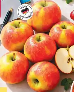 Netto Deutsche Äpfel Elstar Angebot