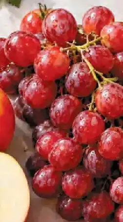 Netto Trauben rot Angebot