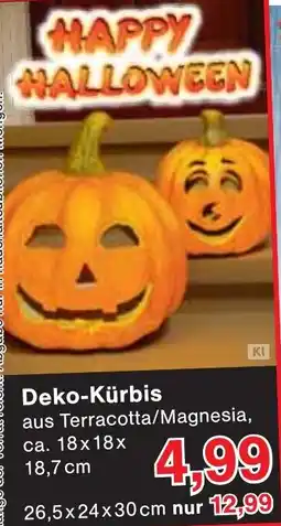 Wiglo Wunderland Deko-Kürbis Angebot