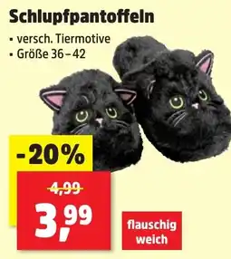 Thomas Philipps Schlupfpantoffeln Angebot
