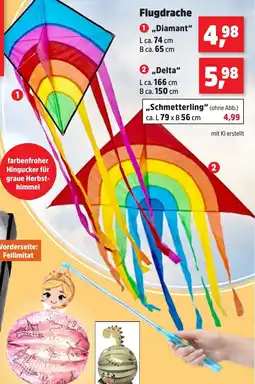 Thomas Philipps Flugdrache "Diamant" Angebot