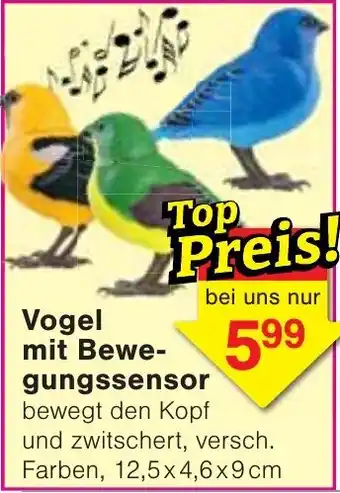 Vogel mit Bewegungssensor