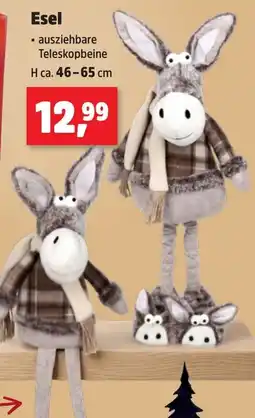 Thomas Philipps Esel Angebot