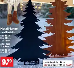 Thomas Philipps Metall-Tanne Angebot