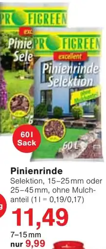 Wiglo Wunderland PROFIGREEN Pinienrinde Selektion Angebot