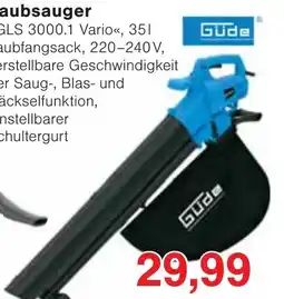 Wiglo Wunderland GÜDE Staubsauger GLS 3000.1 Vario Angebot