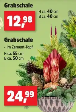 Thomas Philipps Grabschale Angebot
